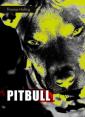 Pitbull